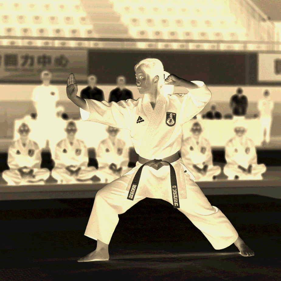 Cái bóng dài của Châu Tuyết Vân và vùng đất chưa ai vẽ bản đồ: Taekwondo Việt Nam ở Asiad 2026