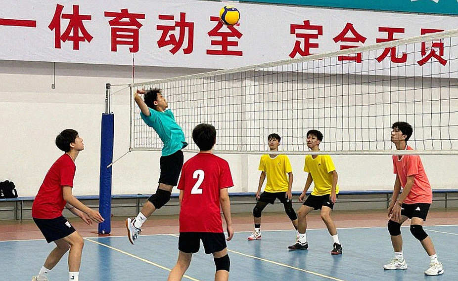 Phân Tích Chuyên Sâu Bóng Chuyền: Khi Dữ Liệu Đầu Vào Rỗng Và Bài Học Về Tính Toàn Vẹn Thông Tin