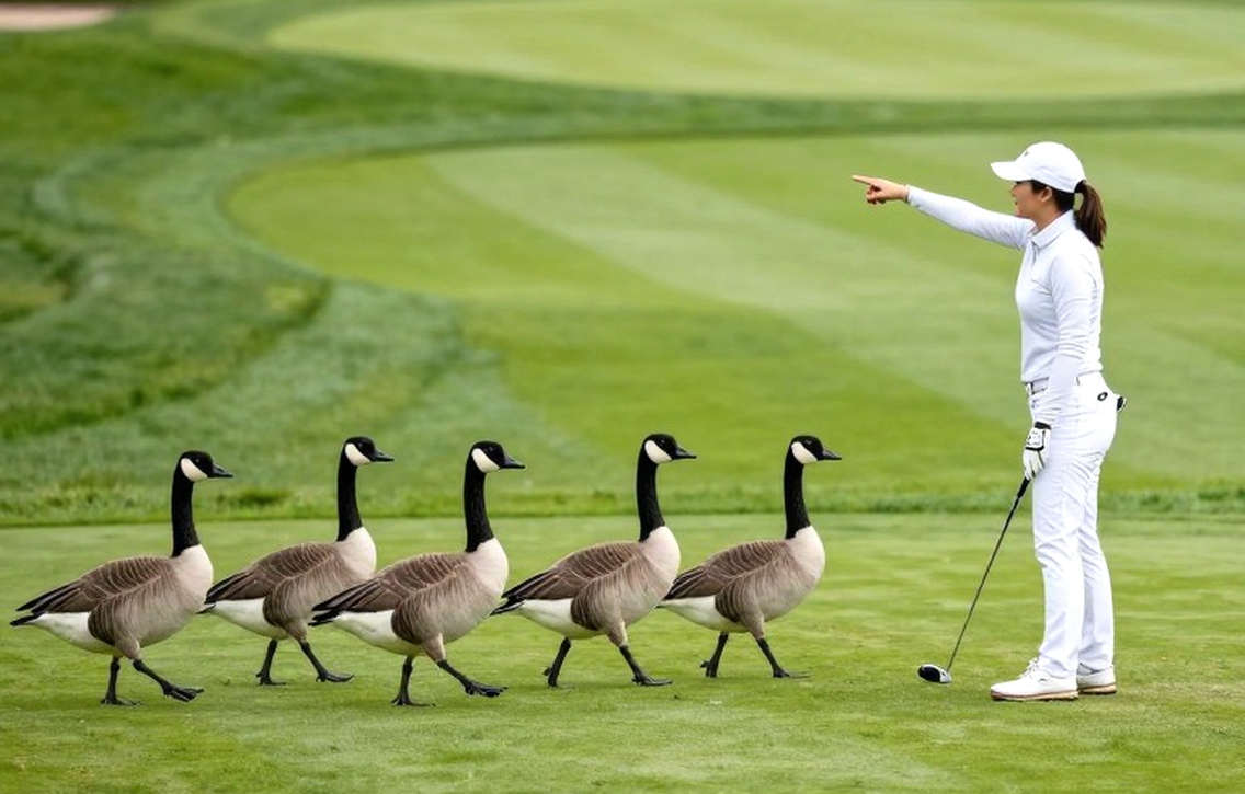 Presidents Cup 2026 tại Medinah: Khoảng cách OWGR và Data Golf nói gì về sáu cái tên đáy bảng